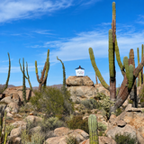 TOUR LA BAJA DESDE EL SUR