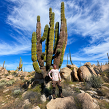 TOUR LA BAJA DESDE EL SUR