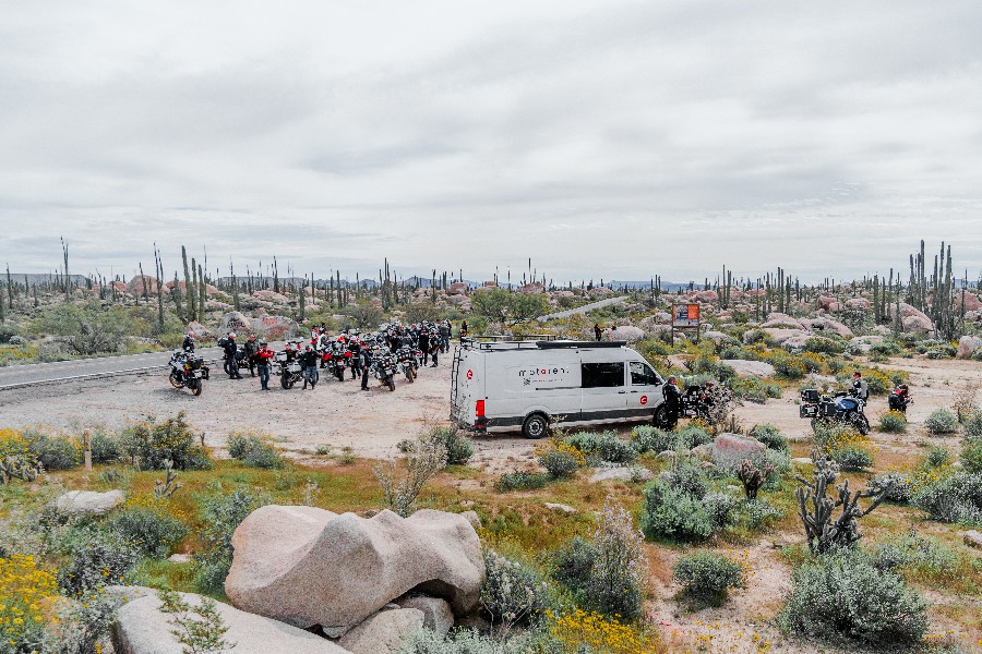 Valle de los Cirios-11~1