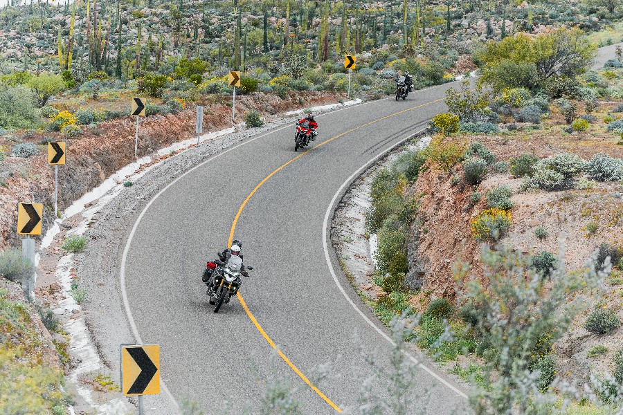 Valle de los Cirios-17~1