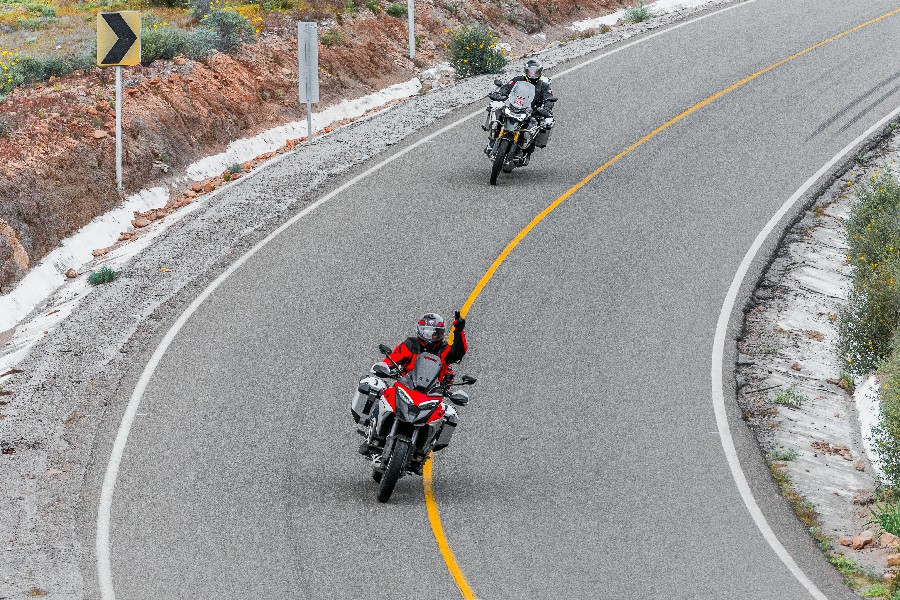 Valle de los Cirios-18~1