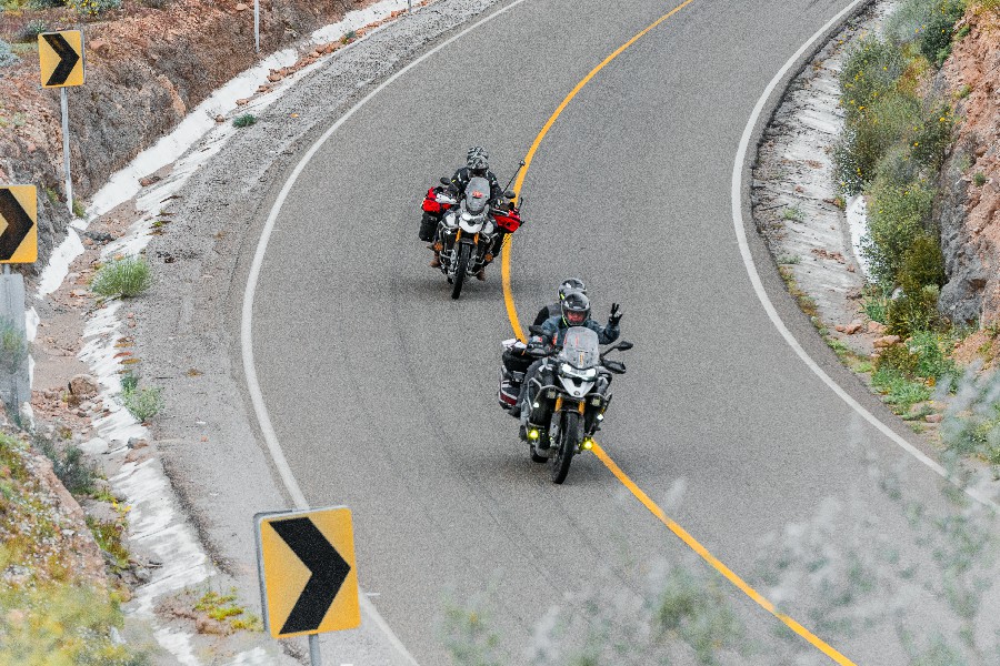 Valle de los Cirios-19~1