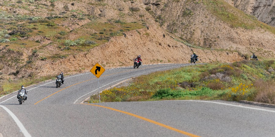 Valle de los Cirios-2~1